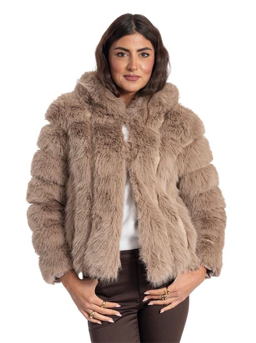  GIO' CELLINI | EP050MO